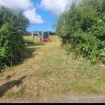 ab,plant,hire,cornwall,abplanthire,cornish,traders,ct verified,ashley,6